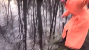 Вода Почернела МГНОВЕННО! Чудеса от Кикиморы