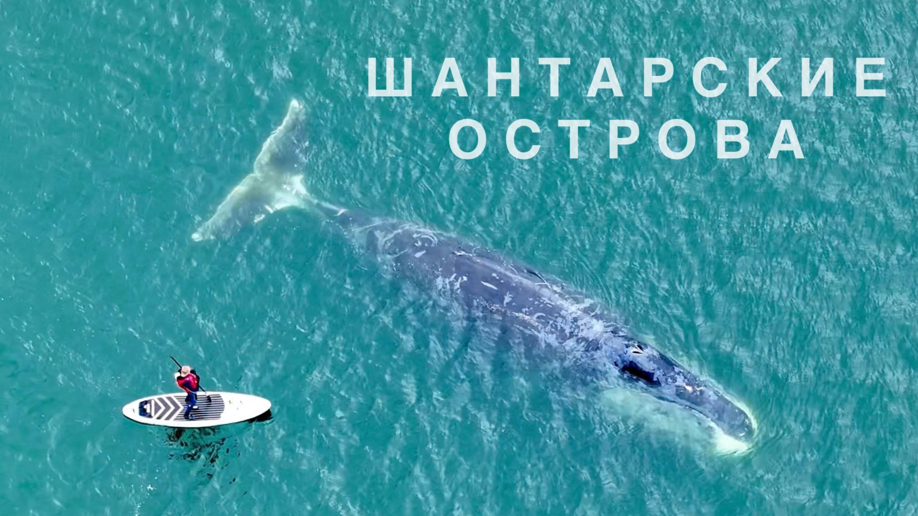 Неслучайные люди. Путешествие на Шантары к Гренландским китам в Охотоморье.