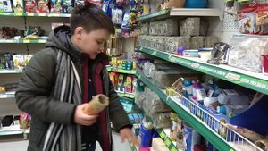 Покупки хомякам
