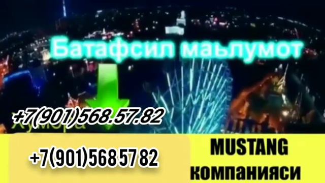 Москва узбекистан автобус хизмати реслар хар куни +79015685782 #sevimli #tezkorxabarlar смотреть онлайн