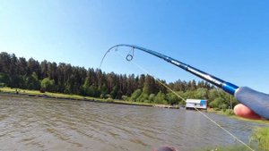 Сомики из Симбухово