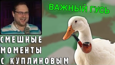 смешные моменты с КУПЛИНОВЫМ Untitled Goose Game