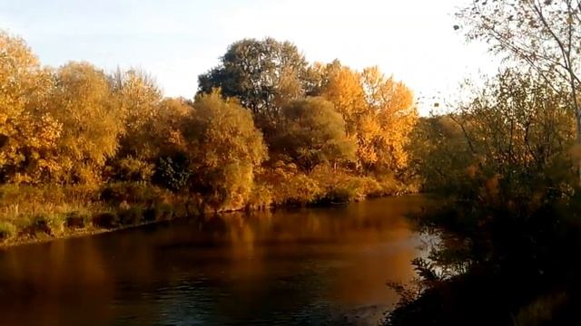 Дары Осени//ОсеньЗолотая//Природа Ставрополья//Родное Село//
