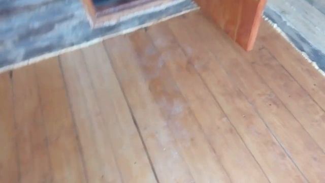 22.08.21 г.Покраска пола в предбаннике! смотреть онлайн