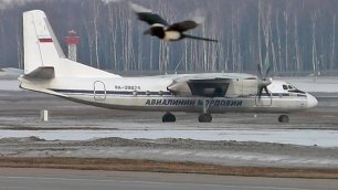 Последний построенный Ан-24. 1979 года выпуска / Аэропорт Внуково