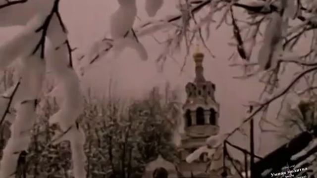 Если снова гонения.mp4 смотреть онлайн