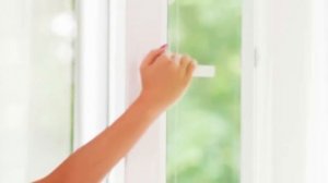 Комнатные растения и экология вашего дома! ЭТО НУЖНО ЗНАТЬ!