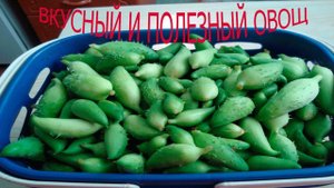 ЦИКЛАНТЕРА СЪЕДОБНАЯ. ЦИКЛАНТЕРА СЪЕДОБНАЯ ЭТО НЕ ТОЛЬКО ВКУСНЫЙ , НО И ПОЛЕЗНЫЙ ОВОЩ