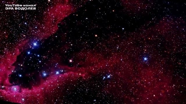 Мощная практика исцеления, омоложения и трансформации тела. Начни жить в новом качестве со вкусом!