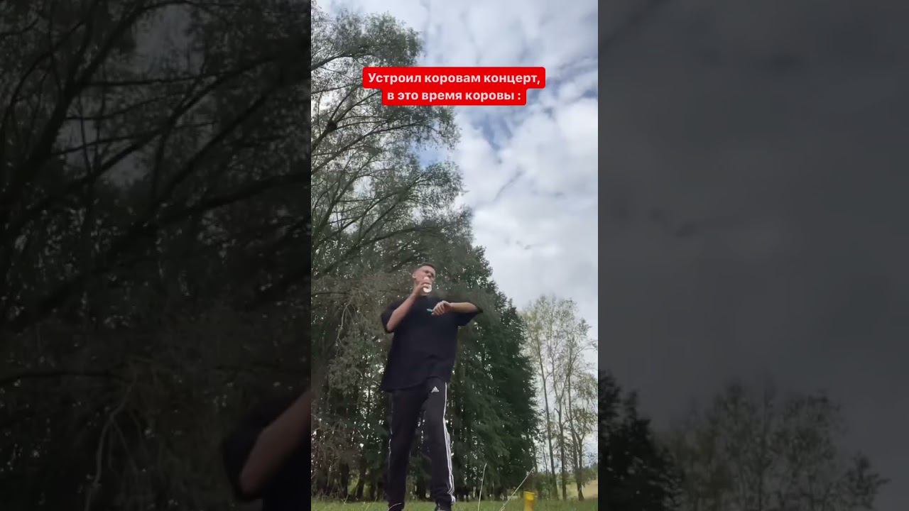 Эта Корова - новый МЕМ смотреть онлайн