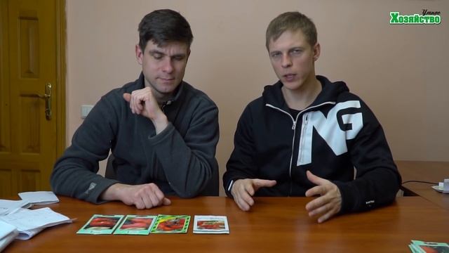9 самых лучших высокорослых помидор! Вы удивитесь: томат гигант весом 2 кг.