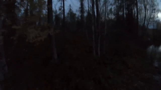 Медведь рядом,как взять? Я люблю жизнь! смотреть онлайн