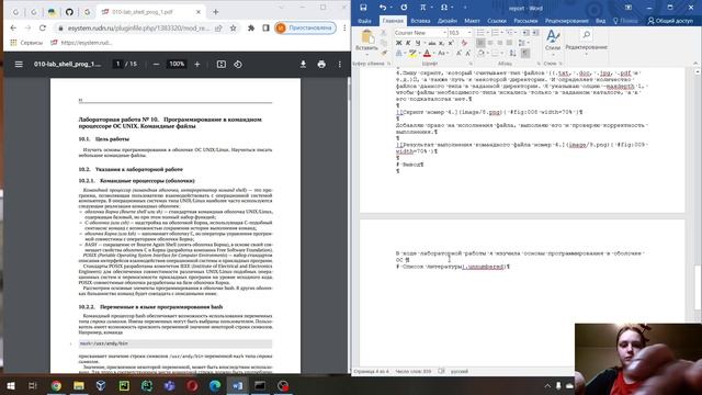 Операционные системы. Лабораторная работа №10. Отчет.