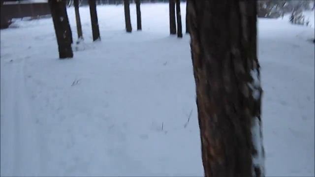 От Деснянки до Коляного озера  на лыжах!