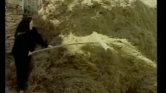 Наши прекрасные,Дагестанские трудолюбивые горянки. смотреть онлайн