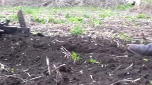 Работаем на мотоблоке Нива 11-а