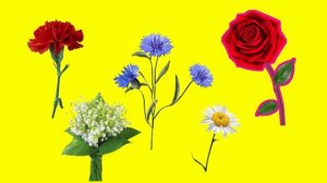 Василисины сказки  Изучаем цветы  Детское развитие