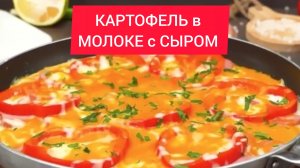 КАРТОФЕЛЬ в МОЛОКЕ с СЫРОМ - изумительный вкус, который удивит всех!