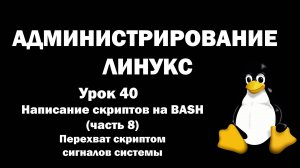 Администрирование Линукс (Linux) - Урок 40 - Написание скриптов на BASH (часть 8) перехват сигналов