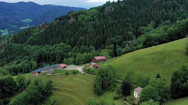 Tetiana Korin / Татьяна Коринь / Strasbourg Страсбург / Українці у Франції / Instagram: korin_ts смотреть онлайн