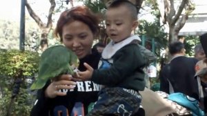 Птичий рынок в Гонконге. Bird Garden in Hong-kong.