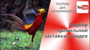 Как правильно подбирать заставки к видео на YouTube.  Как правильно пользоваться аналитикой ЮТуба.