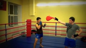 тренировки тайский бокс москва