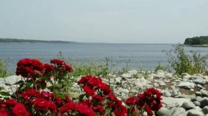 Красивая мелодия Игоря Крутого "Музыка для души".