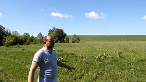 выбор места для пасеки