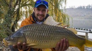 Как Поймать Судака Осенью на Джиг-риг