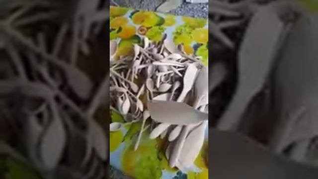 Деревянная посуда из дуба