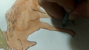 Природа и животный мир Беларуси ?????️???