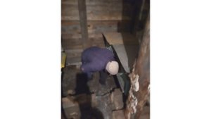 Строительство омшаника