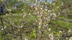 Женскими руками подиум для детского бассейна. А также рассказываю, что успели сделать за весну.(2024