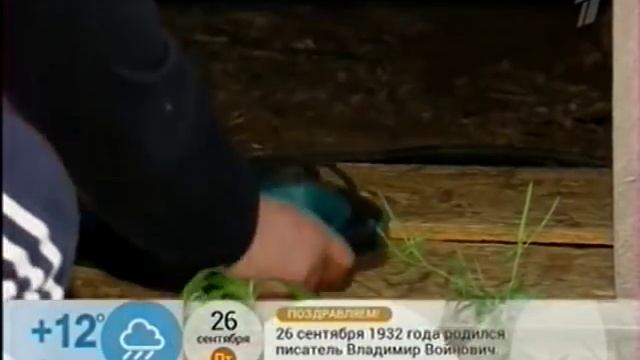 Как защитить дачу от воров (часть 1) смотреть онлайн