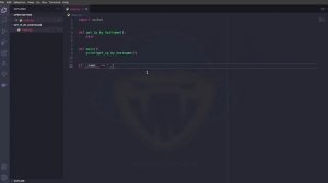 Получаем IP-адрес сайта с помощью Python _ Как узнать IP-адрес сайта.mp4