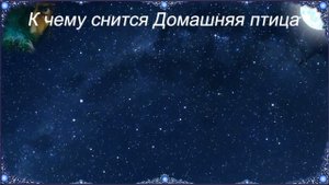 К чему снится Домашняя птица (Сонник)