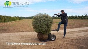 Обзор. Тележка универсальная для питомников и садовых центров от компании Зеленснаб.