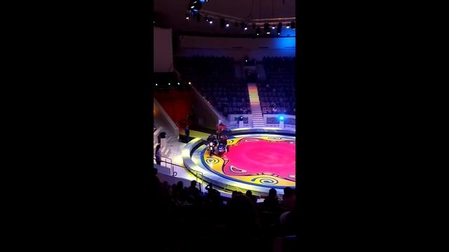 цирк Филатовых в Нижнем Тагиле смотреть онлайн