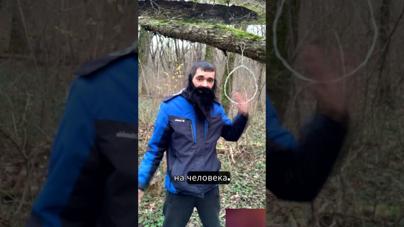 Как спастись от Лабеана в лесу