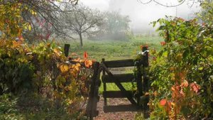 Галина Карева. Калитка.