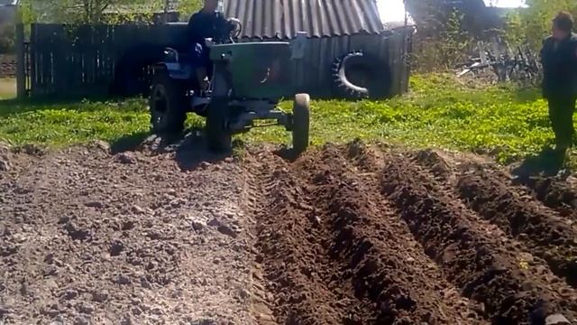 Самодельный трактор. Посадка картошки под плуг смотреть онлайн