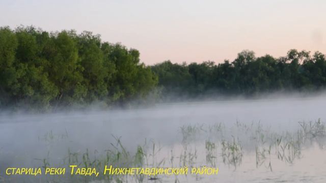 Природа, Тюменская область. Часть 1.