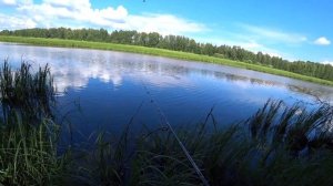 Рыбалка на поплавок. Ловля щуки на живца. Рыбалка летом на живца с поплавком.