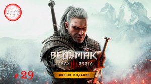 Ведьмак 3: Дикая Охота  Прохождение  # 29 сюжет - ХОЗЯЙКИ ЛЕСА