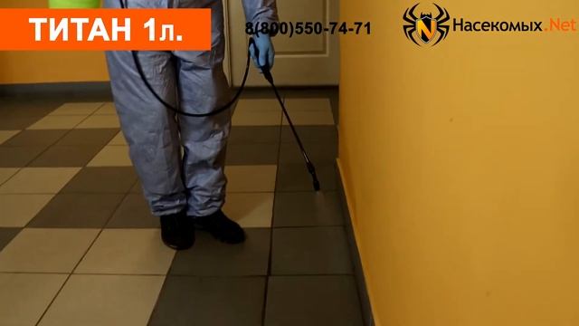 Как избавиться от постельных клопов, тараканов, блох средством Титан смотреть онлайн