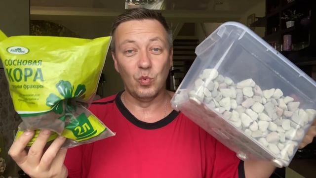 корни орхидеи НЕ РАСТУТ в ДОРОГОМ грунте, пересадка орхидеи в дешёвый СУПЕР грунт смотреть онлайн