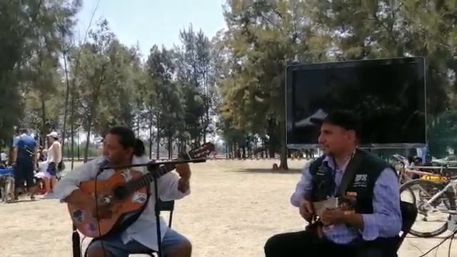 Alex ladra en el bosque de Aragón смотреть онлайн