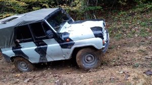 Тест safari 500 31