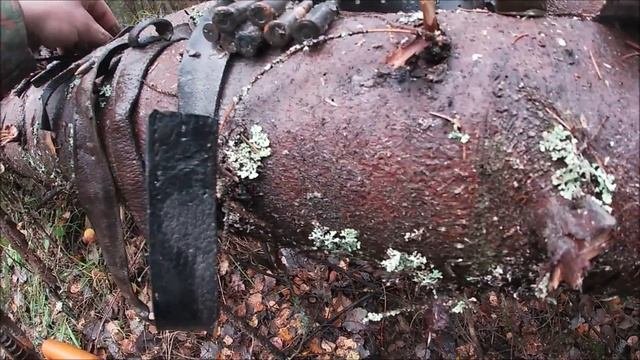 Коп в Ленинградской области!!!Переходные позиции